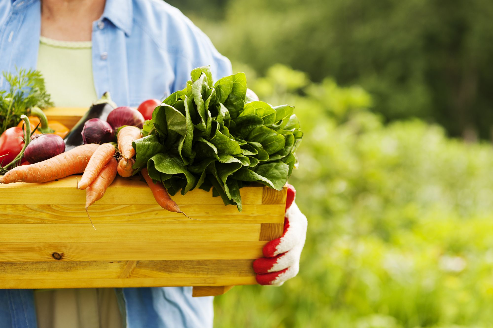 Eating from Your Own Garden