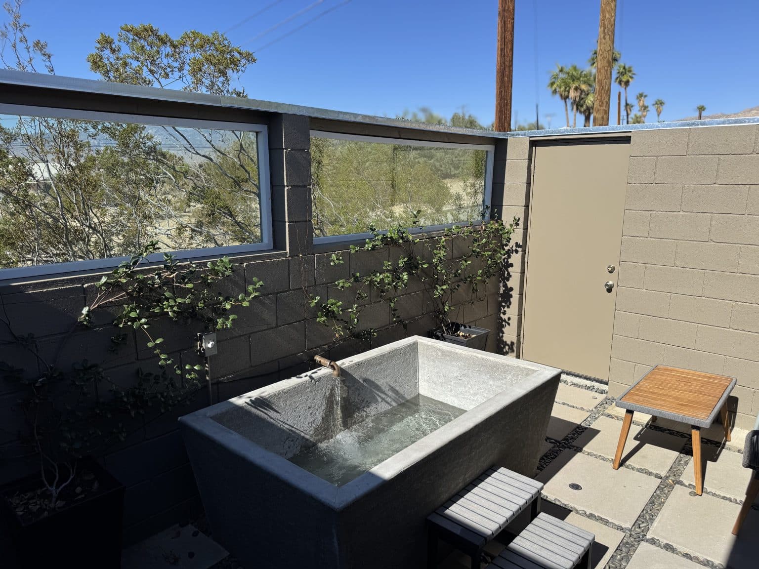 Stone cold plunge tub on a private garden patio at The Spring